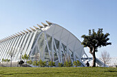 Príncipe Felipe museum of sciences, City of Arts and Sciences, by S. Calatrava. Valencia. Spain