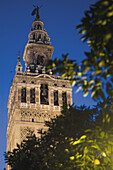 Giralda tower. Sevilla. Spain