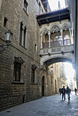Carrer del Bisbe. Gothic Quarter. Barcelona. Catalonia. Spain