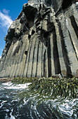 Columnar jointing in basalt cliffs. Smoothwater Bay. Campbell Island. New Zealand