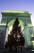 Washington Square with Christmas tree, New York City. USA