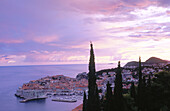 Dubrovnik. Dalmatia. Croatia.