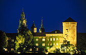 Wawel castle and cathedral. Krakow. Poland.