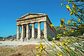 Doric temple, ruins of the ancient Greek city of Egesta (aka Segesta). Sicily. Italy.