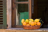 Oranges and Lemons on Windowsill of Cafe del Ronda, Alcudia, Mallorca, Balearic Islands, Spain