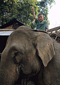 Child on elefant in Karen village near Chiang Mai, North Thailand, Thailand