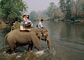 Elephant trekking at Pai river near Mae Hong Son, North Thailand, Thailand