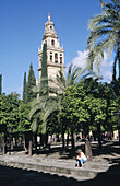 Cordobas mezquita. Andalusia. Spain