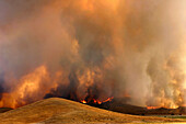 Lake Hughes fire which started on July 12, 2004. California. USA