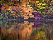 A Pennsylvania lake reflects a burst of fall color