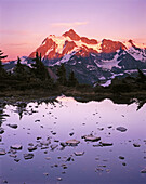 Artist Point Area, Kulshan Ridge. Mount Shuksan. Mount Baker-Snoqualmie National Forest. Washington. USA