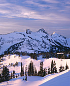 Winter morning on Mazama Ridge and the Tatoosh Range. Mount Rainier National Park. Washington. USA.