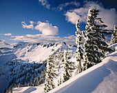 Winter on Table Mountain from Kulshan Ridge. Washington. USA.