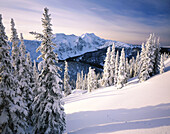 Winter in the Cariboo Mountains. British Columbia. Canada.