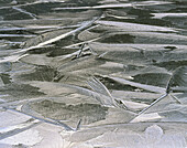 Patterns of ice on pond