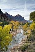 Autumn along the Virgin River, The Watchman in the distance, Zion National Park. Utah, USA