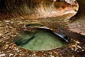 Emerald pools in the Subway canyon formation Left Fork of North Creek, Zion National Park. Utah, USA