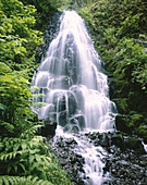 Ferry Falls. Oregon. USA.