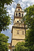 Patio de los Naranjos, courtyard and minaret tower of the Great Mosque. Córdoba. Spain