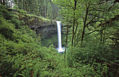 Waterfall. Silver Falls State Park. Oregon. USA