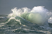 Waves at Cape Kiwanda. Oregon. USA