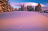 Sunrise. Snow covered trees. Oregon cascades. USA.