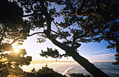 Sunrise over Agete Beach. Oregon coast, USA