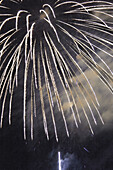 Background, Backgrounds, Burst, Bursting, Bursts, Celebrate, Celebrating, Celebration, Celebrations, Color, Colour, Concept, Concepts, Exploding, Exterior, Festival, Festivals, Fireworks, Holiday, Holidays, Lights, Low angle view, Night, Nighttime, Noise,