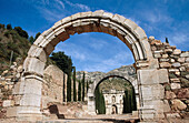Ruins of Scala Dei Carthusian monastery, Morera de Montsant. Serra de Montsant Natural Park, Tarragona province. Catalonia, Spain