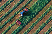 Tractor harvest hay. Aerial view. Närke. Sweden