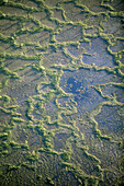 Wetland, aerial view. Lappland, Sweden