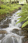 A channelized stream flowing under a footbridge and towards the Inverie River. Knoydart, Highland, Scotland