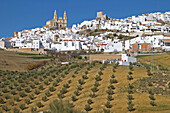 Olvera. Cádiz province, Andalusia, Spain