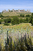 Monteriggioni. Province of Siena, Tuscany, Italy