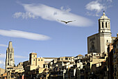 Sant Fèlix cathedral (left) and Girona cathedral. Girona. Spain.