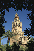 Patio de los Naranjos, courtyard and minaret tower of the Great Mosque, Córdoba. Andalusia, Spain