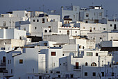 Vejer de la Frontera. Cádiz province, Andalusia. Spain