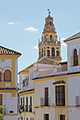 Minaret tower of the Great Mosque. Córdoba. Andalusia, Spain