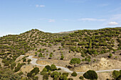 Sierra de Hornachuelos Natural Park. Cordoba province, Andalusia, Spain