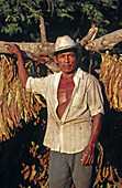 Peasant, tobacco, Mexico
