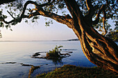 Bacalar. Quintana Roo, Mexico