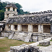 Palenque. Chiapas, Mexico