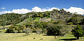 Maya ruins. Toniná. Chiapas. Mexico