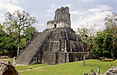 Mayan ruins of Tikal. Guatemala