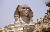 Face of Sphinx. Gizeh. Egypt