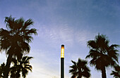 Street lamp and palm trees in the evening. Barceloneta beach, Barcelona, Spain