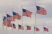 Ring of flags at the Washington Monument, Washington, District of Columbia, USA