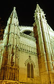 Gothic cathedral at night, Palma de Mallorca. Majorca, Balearic Islands. Spain