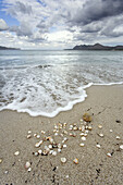 Wave arriving at the shore with shells, Pollensas Bay, Mallorca, Spain