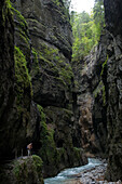 Schlucht mit Bach, Partnachklamm, Garmisch-Partenkirchen, Bayern, Deutschland